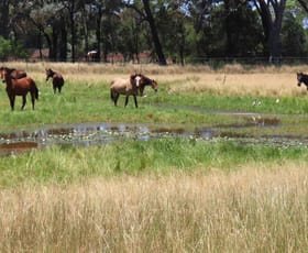 Rural / Farming commercial property sold at Mooroobie Lane Goondiwindi QLD 4390