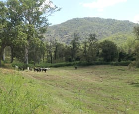 Rural / Farming commercial property sold at 4/2501 Rocky River Road Rocky River NSW 2372