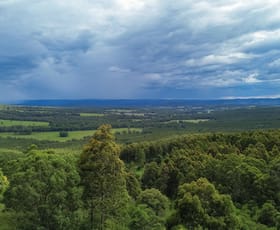 Rural / Farming commercial property for sale at 80 Tooloom Street Legume NSW 2476