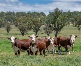 Rural / Farming commercial property sold at 865 Upper Spring Creek Road Spring Creek QLD 4361