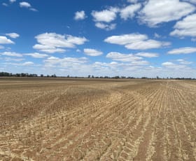 Rural / Farming commercial property sold at Warracknabeal VIC 3393