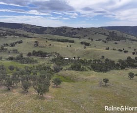 Rural / Farming commercial property for sale at 260 & 262 Alpha Road Tambaroora NSW 2850