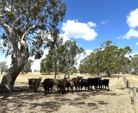 Rural / Farming commercial property for sale at 1287 Charam-wombelano Road Charam VIC 3318