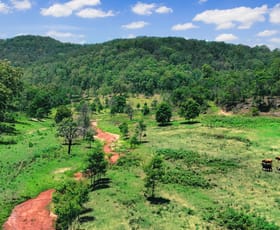 Rural / Farming commercial property for sale at Southern Arm, Hitcha Dairy Arm Road Laguna NSW 2325