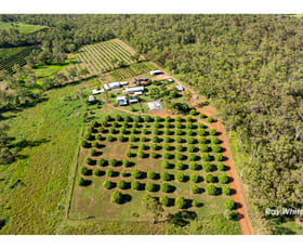 Rural / Farming commercial property for sale at 765 Keppel Sands Road Coowonga QLD 4702