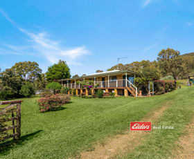 Rural / Farming commercial property for sale at 532 Bucketts Road Gloucester NSW 2422