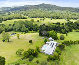 Rural / Farming commercial property for sale at 568 Coles Creek Road Cooran QLD 4569