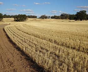 Rural / Farming commercial property for sale at 1811 Williams Kondinin Road Minigin WA 6312