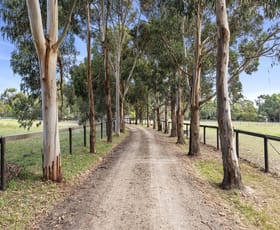 Rural / Farming commercial property for sale at 50 Hunts Road Tuerong VIC 3915
