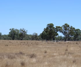 Rural / Farming commercial property for sale at 535 Grub Lane Patyah VIC 3318