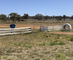 Rural / Farming commercial property for sale at Brewarrina NSW 2839