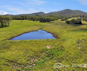 Rural / Farming commercial property for sale at 18310 Clarence Way Urbenville NSW 2475