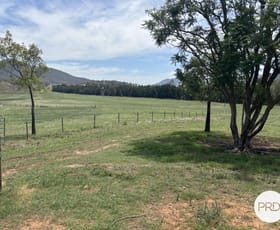 Rural / Farming commercial property sold at Lot 20/2181 Martindale Road, Martindale Denman NSW 2328
