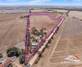 Rural / Farming commercial property for sale at 170 Standpipe Road Halbury SA 5461