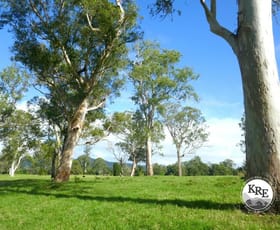 Rural / Farming commercial property for sale at 1038 Summerland Way Kyogle NSW 2474