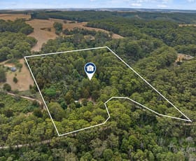 Rural / Farming commercial property for sale at 189 Gellibrand River Road Gellibrand Lower VIC 3237