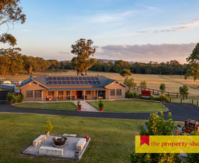 Rural / Farming commercial property for sale at 1152 Cope Road Gulgong NSW 2852