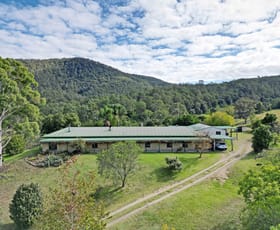 Rural / Farming commercial property for sale at 1536 Mount View Road Millfield NSW 2325
