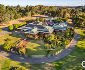 Rural / Farming commercial property for sale at 39 Pages Flat Road Willunga Hill SA 5172