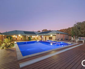 Rural / Farming commercial property for sale at 39 Pages Flat Road Willunga Hill SA 5172