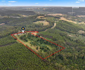 Rural / Farming commercial property for sale at 445 Old Beech Forest Road Gellibrand VIC 3239