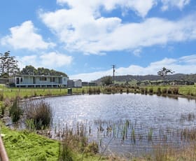 Rural / Farming commercial property for sale at 261 & 331 Colgraves Road Pipers River TAS 7252