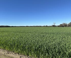 Rural / Farming commercial property for sale at 28694 Great Southern Highway Katanning WA 6317