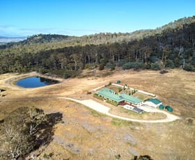 Rural / Farming commercial property for sale at 747 White Kangaroo Road Campania TAS 7026