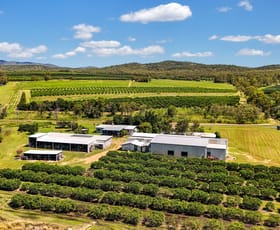 Rural / Farming commercial property for sale at 119 McLeod Road Mutchilba QLD 4872