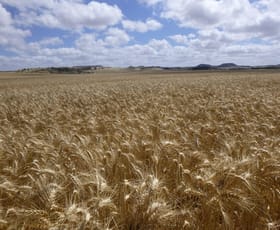 Rural / Farming commercial property for sale at 423 Starling Road Bowes WA 6535