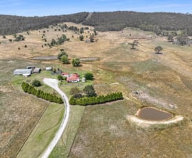 Rural / Farming commercial property for sale at 309 Bucky Springs Road Bombala NSW 2632