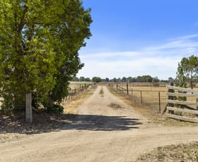 Rural / Farming commercial property for sale at 1372 Sandmount Road Katunga VIC 3640