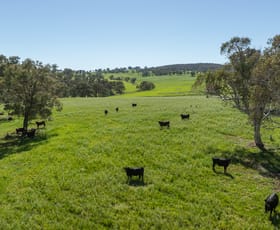 Rural / Farming commercial property for sale at 2531 Niangala Road Walcha NSW 2354