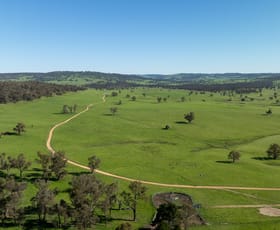 Rural / Farming commercial property for sale at 2531 Niangala Road Walcha NSW 2354