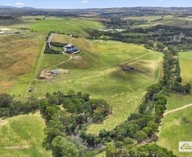 Rural / Farming commercial property for sale at 179 Fairfield Lane Darraweit Guim VIC 3756