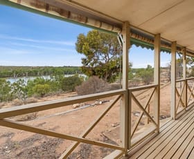 Rural / Farming commercial property for sale at 791 Murraylands Road Morgan SA 5320