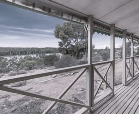 Rural / Farming commercial property for sale at 791 Murraylands Road Morgan SA 5320