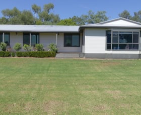 Rural / Farming commercial property for sale at 50 Gunningbar Parkway Warren NSW 2824