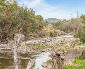 Rural / Farming commercial property for sale at 32/1735 Bridle Track Bruinbun NSW 2795