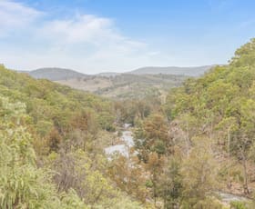 Rural / Farming commercial property sold at 31/1735 Bridle Track Bruinbun NSW 2795