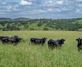 Rural / Farming commercial property for sale at 3128 Manumbar Road Elgin Vale QLD 4615