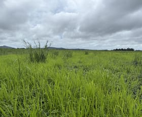 Rural / Farming commercial property for sale at Silkwood QLD 4856