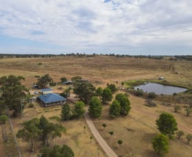 Rural / Farming commercial property sold at 1127 Newell Highway Forbes NSW 2871