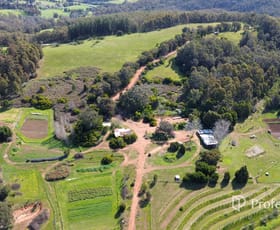 Rural / Farming commercial property for sale at Lot 769 Prowse Road Balingup WA 6253