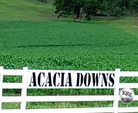 Rural / Farming commercial property for sale at 45 Barlows Gate Road Lower Acacia Creek NSW 2476