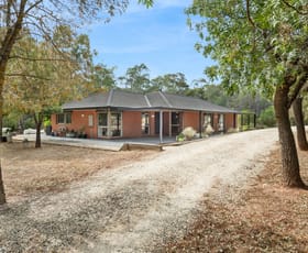Rural / Farming commercial property for sale at 1132 Schoolhouse Lane Heathcote VIC 3523