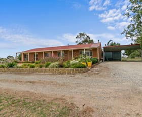 Rural / Farming commercial property for sale at 50 Sheepwash Creek Road Flynn VIC 3844