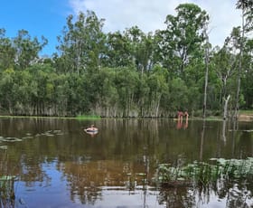 Rural / Farming commercial property for sale at 130 Neill Rd Duckinwilla QLD 4650