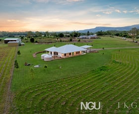 Rural / Farming commercial property for sale at 13 West Stallman Road Frazerview QLD 4309