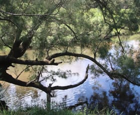 Rural / Farming commercial property for sale at 147 Rover Park Road Tenterfield NSW 2372